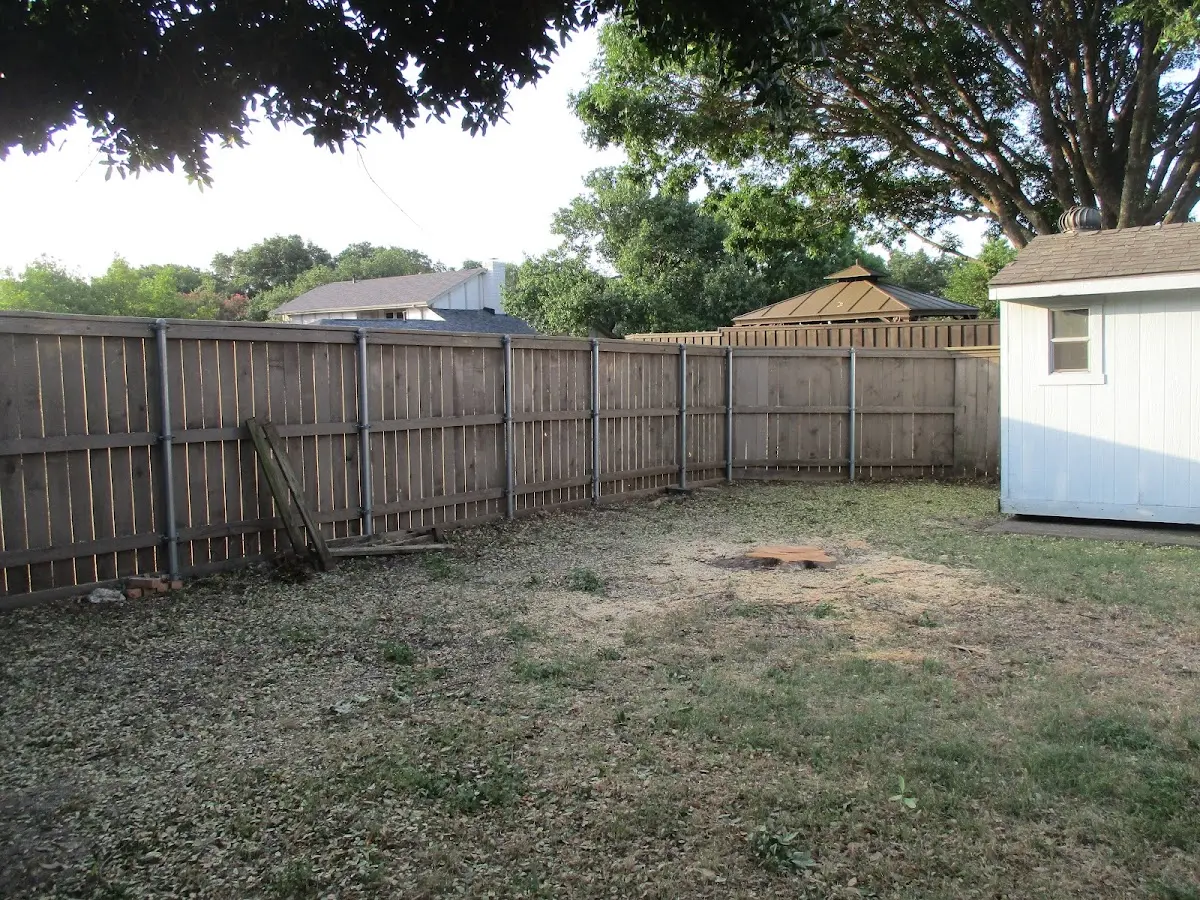 Cleared yard after professional tree removal in Braddyville